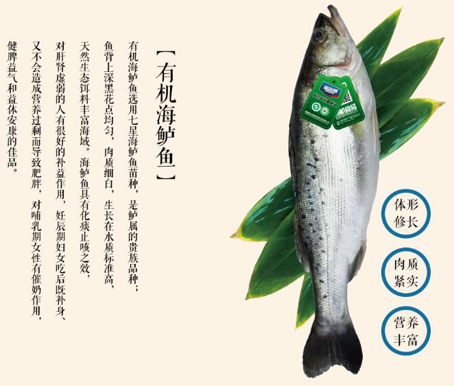 海鱸魚1.jpg
